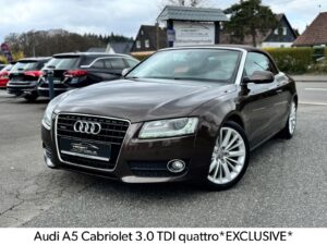 Fahrzeugabbildung Audi A5 Cabriolet 3.0 TDI quattro*EXCLUSIVE*