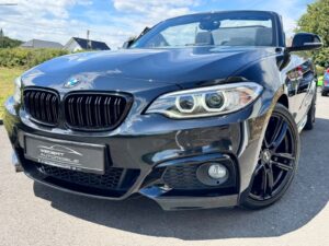 Fahrzeugabbildung BMW 220 i M Sport*TOP GEPLFEGT* BMW GARANTIE*